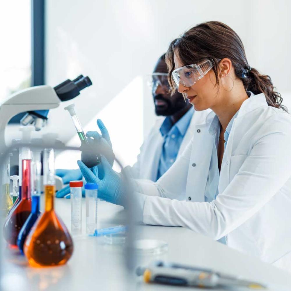 Two technicians working in a lab